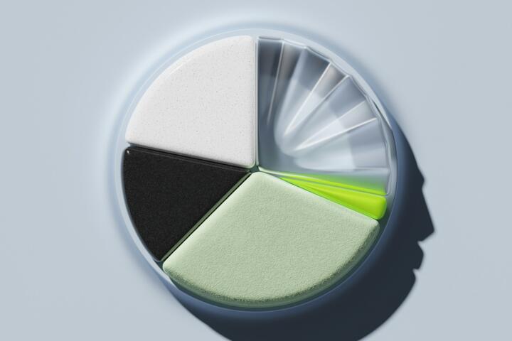 What a Fractional Share Lets You Buy