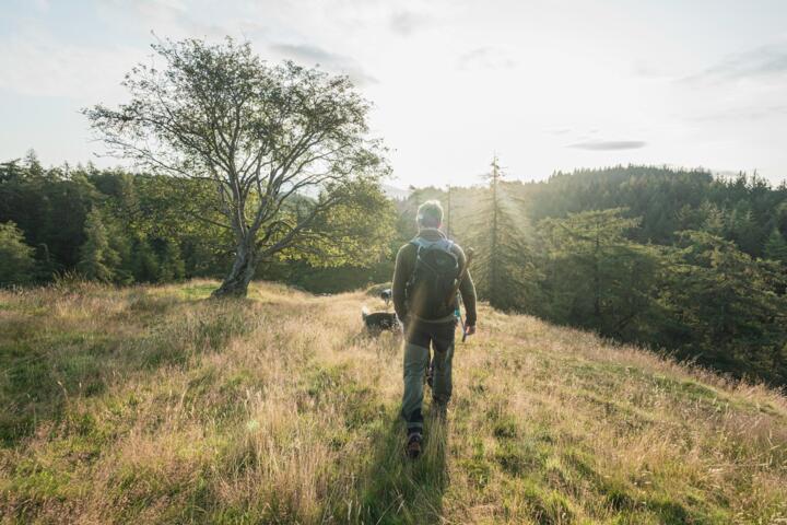 Time in Nature Is a Quiet Stress Reliever